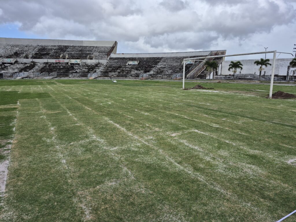 Estádio Almeidão, gramado