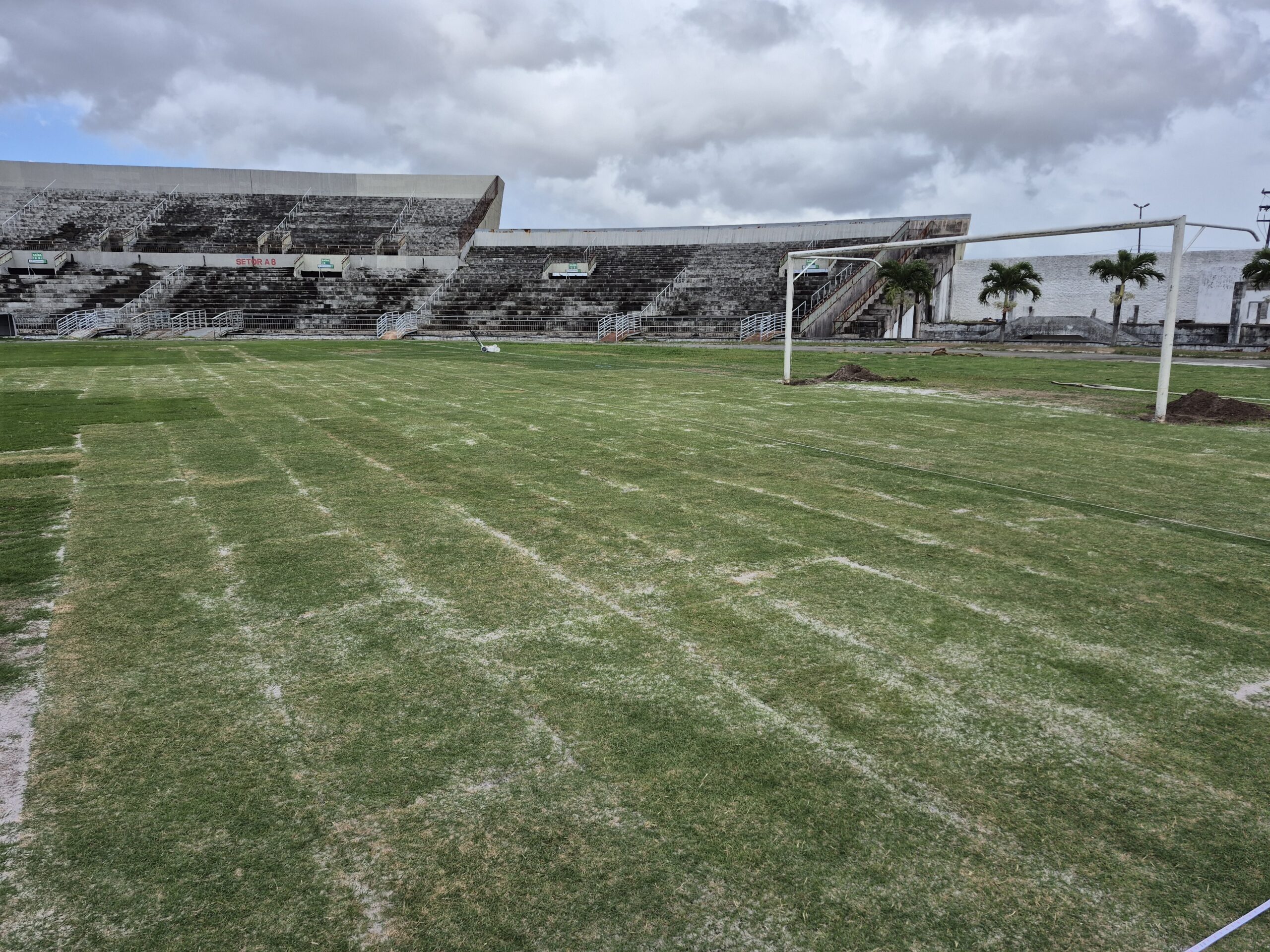 Estádio Almeidão, gramado