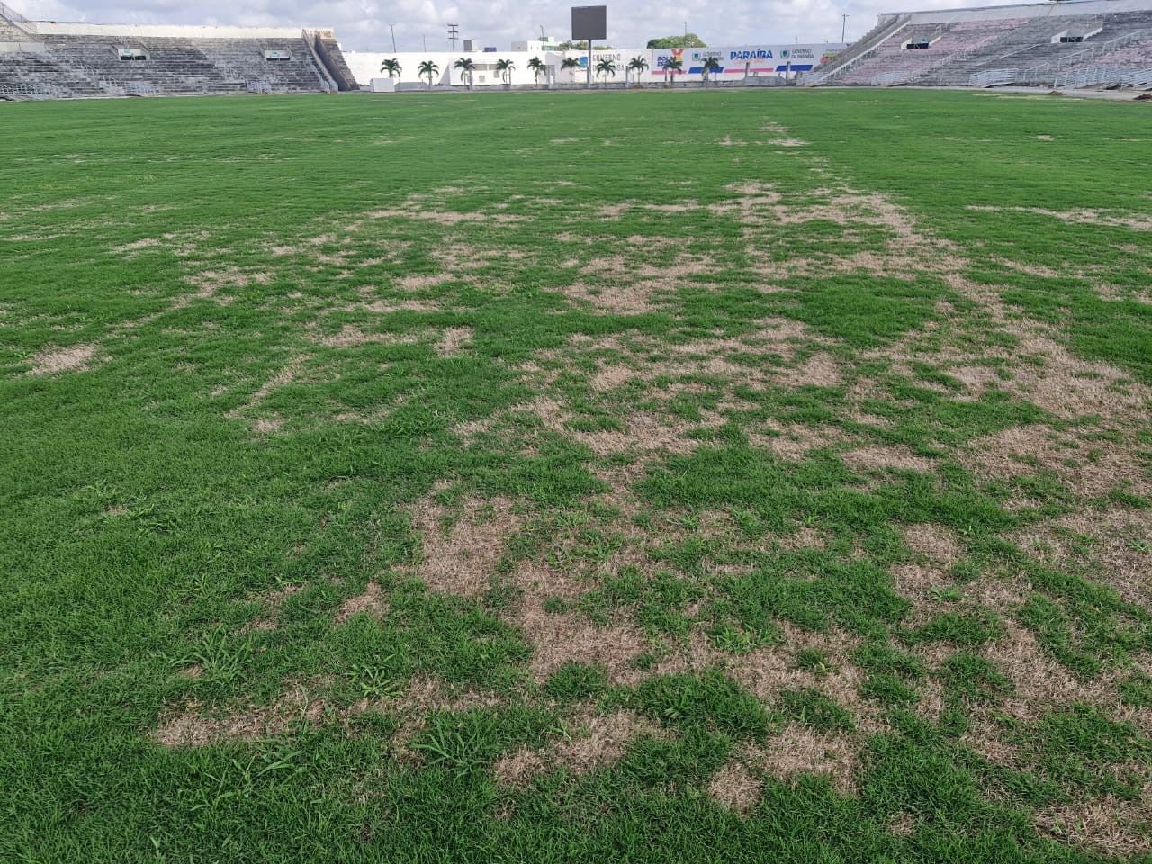 Estádio Almeidão, gramado